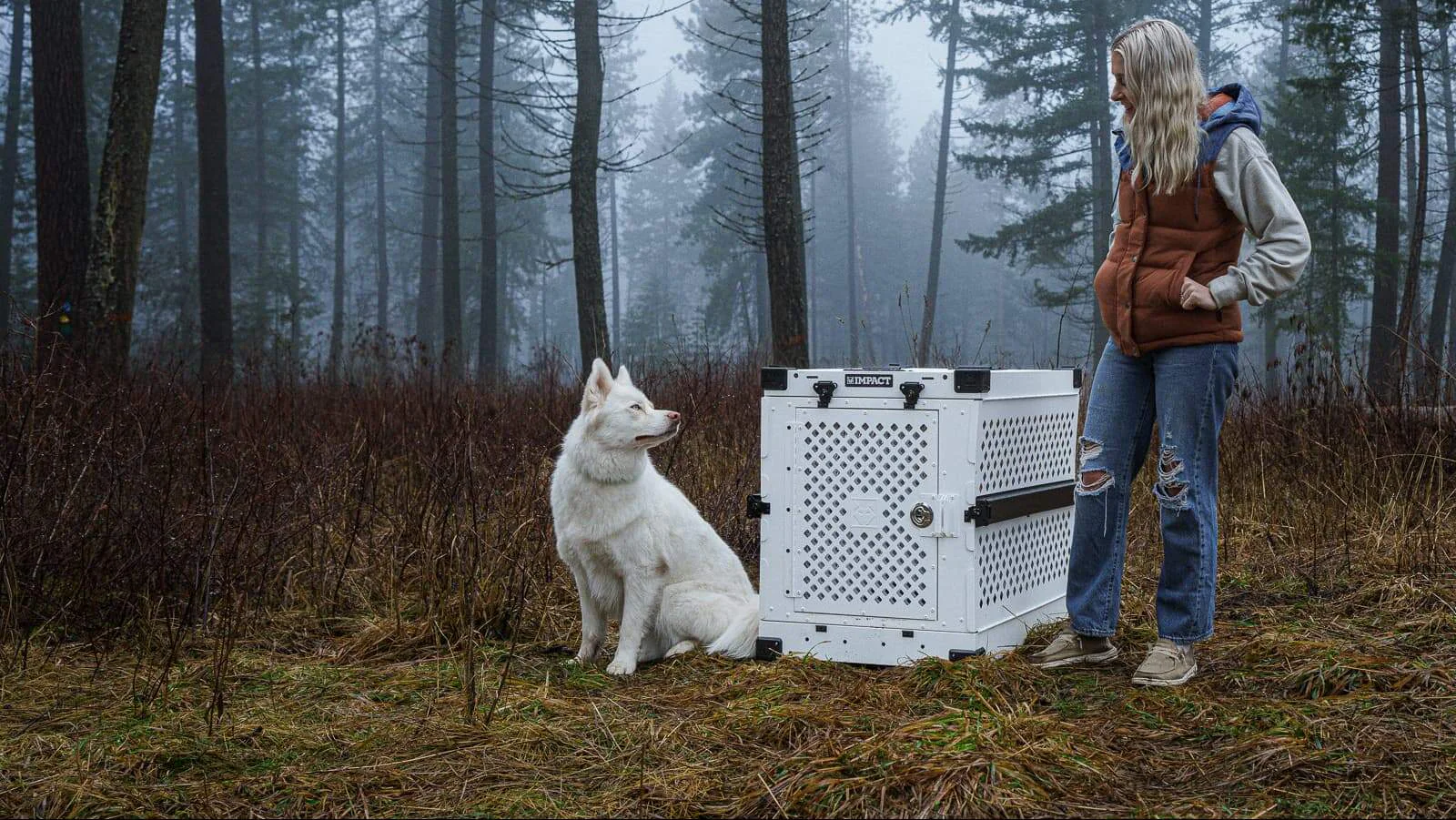 Unbreakable Safety for Your Dog